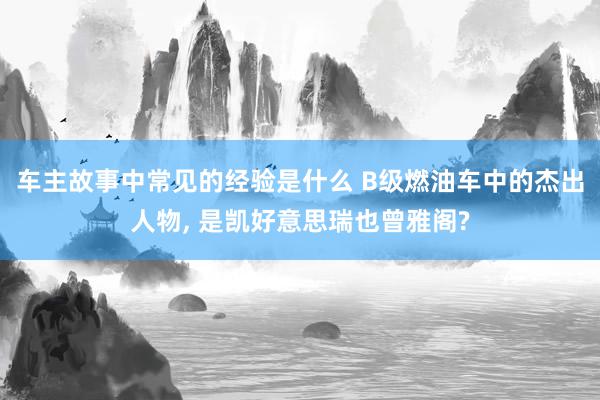 车主故事中常见的经验是什么 B级燃油车中的杰出人物, 是凯好意思瑞也曾雅阁?