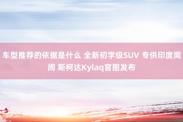 车型推荐的依据是什么 全新初学级SUV 专供印度阛阓 斯柯达Kylaq官图发布