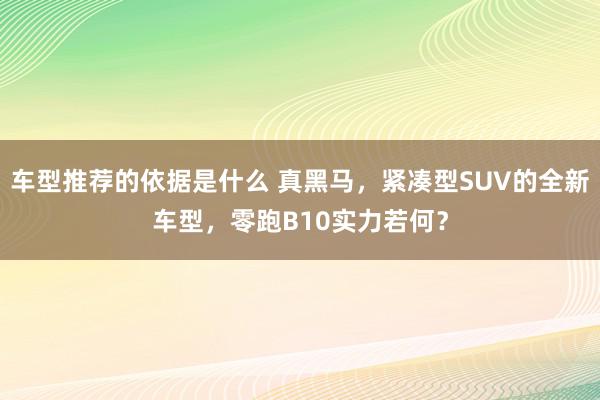 车型推荐的依据是什么 真黑马，紧凑型SUV的全新车型，零跑B10实力若何？