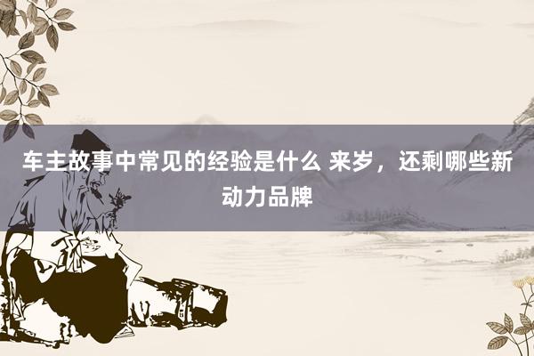 车主故事中常见的经验是什么 来岁，还剩哪些新动力品牌