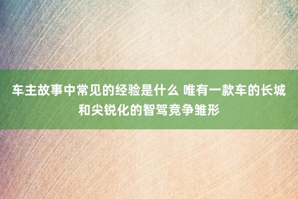 车主故事中常见的经验是什么 唯有一款车的长城和尖锐化的智驾竞争雏形