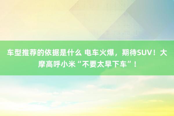 车型推荐的依据是什么 电车火爆，期待SUV！大摩高呼小米“不要太早下车”！