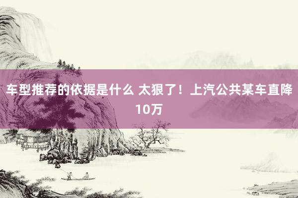 车型推荐的依据是什么 太狠了！上汽公共某车直降10万