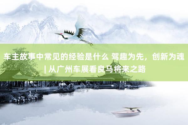 车主故事中常见的经验是什么 驾趣为先，创新为魂 | 从广州车展看良马将来之路