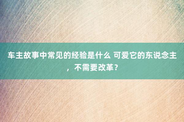 车主故事中常见的经验是什么 可爱它的东说念主，不需要改革？