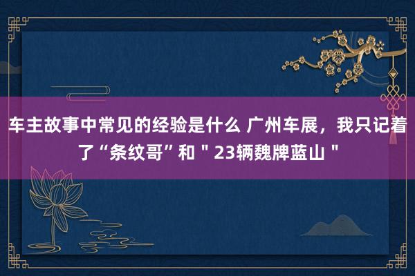 车主故事中常见的经验是什么 广州车展，我只记着了“条纹哥”和＂23辆魏牌蓝山＂