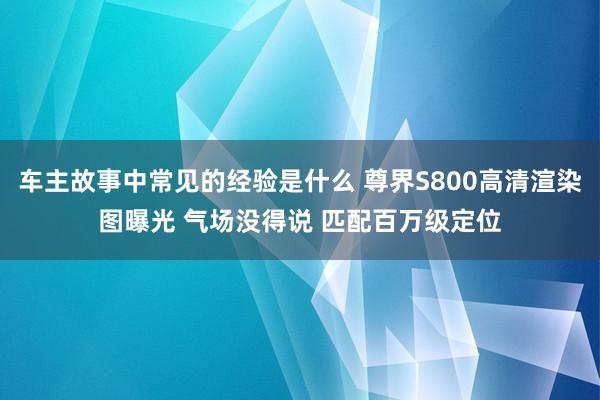 车主故事中常见的经验是什么 尊界S800高清渲染图曝光 气场没得说 匹配百万级定位