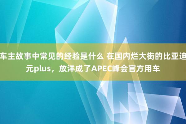 车主故事中常见的经验是什么 在国内烂大街的比亚迪元plus，放洋成了APEC峰会官方用车