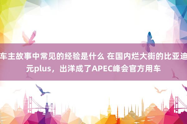 车主故事中常见的经验是什么 在国内烂大街的比亚迪元plus，出洋成了APEC峰会官方用车