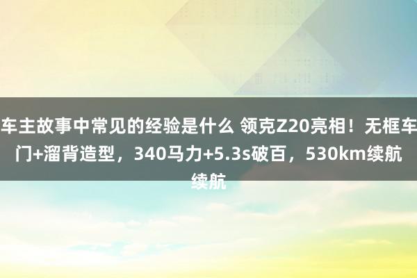 车主故事中常见的经验是什么 领克Z20亮相！无框车门+溜背造型，340马力+5.3s破百，530km续航