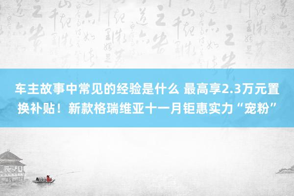 车主故事中常见的经验是什么 最高享2.3万元置换补贴！新款格瑞维亚十一月钜惠实力“宠粉”