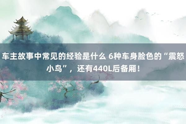 车主故事中常见的经验是什么 6种车身脸色的“震怒小鸟”，还有440L后备厢！