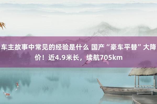 车主故事中常见的经验是什么 国产“豪车平替”大降价！近4.9米长，续航705km