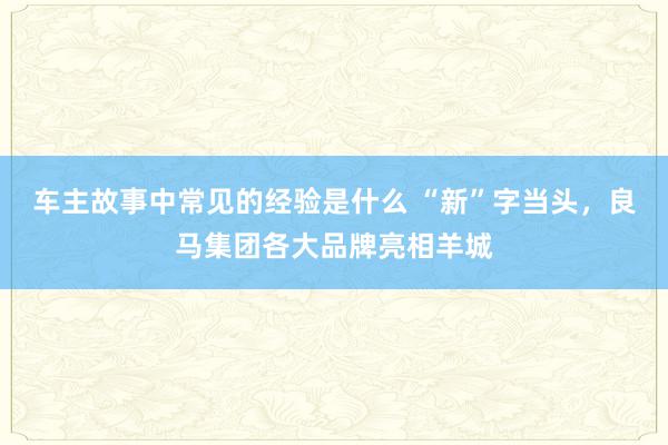 车主故事中常见的经验是什么 “新”字当头，良马集团各大品牌亮相羊城