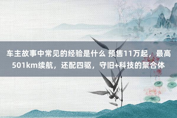 车主故事中常见的经验是什么 预售11万起，最高501km续航，还配四驱，守旧+科技的聚合体