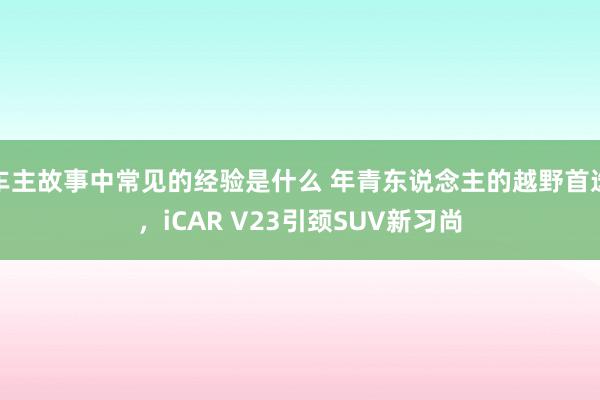 车主故事中常见的经验是什么 年青东说念主的越野首选，iCAR V23引颈SUV新习尚