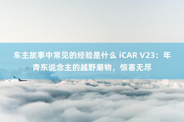 车主故事中常见的经验是什么 iCAR V23：年青东说念主的越野潮物，惊喜无尽