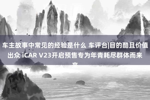 车主故事中常见的经验是什么 车评台|目的酷且价值出众 iCAR V23开启预售专为年青耗尽群体而来