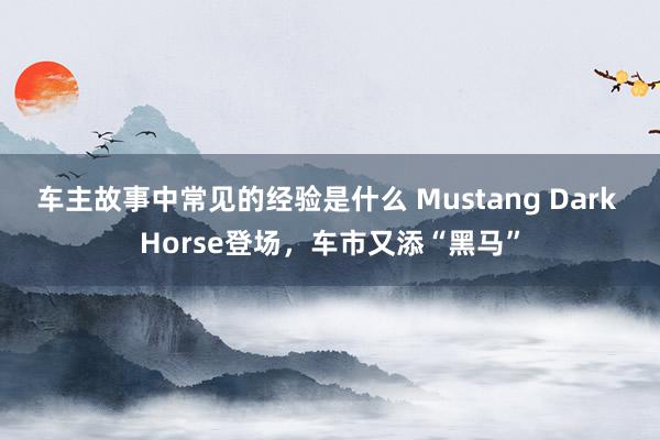 车主故事中常见的经验是什么 Mustang Dark Horse登场，车市又添“黑马”