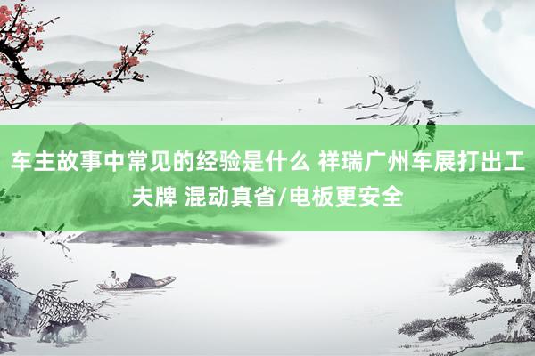 车主故事中常见的经验是什么 祥瑞广州车展打出工夫牌 混动真省/电板更安全