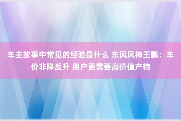 车主故事中常见的经验是什么 东风风神王鹏：车价非降反升 用户更需要高价值产物