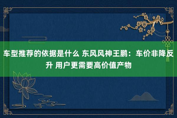 车型推荐的依据是什么 东风风神王鹏：车价非降反升 用户更需要高价值产物