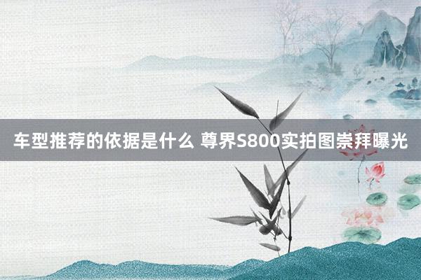 车型推荐的依据是什么 尊界S800实拍图崇拜曝光