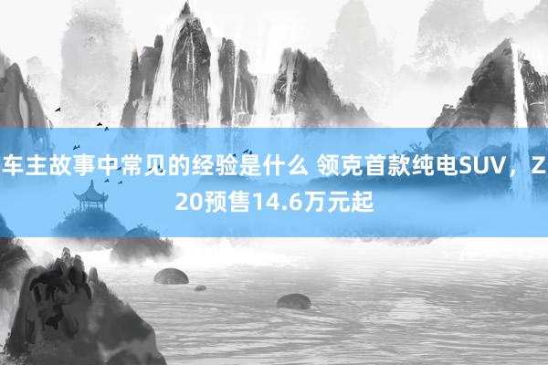 车主故事中常见的经验是什么 领克首款纯电SUV，Z20预售14.6万元起