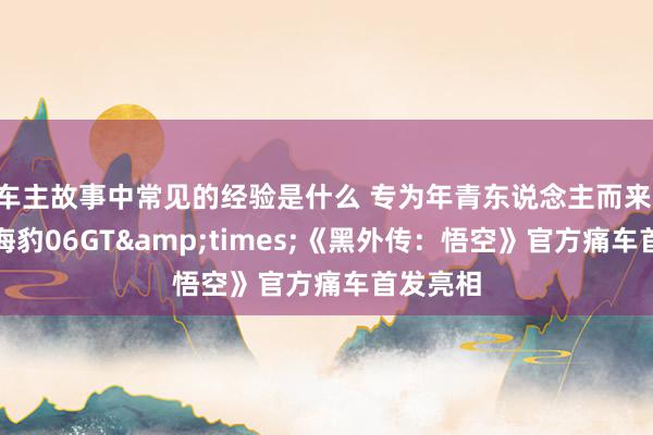 车主故事中常见的经验是什么 专为年青东说念主而来 比亚迪海豹06GT&times;《黑外传：悟空》官方痛车首发亮相