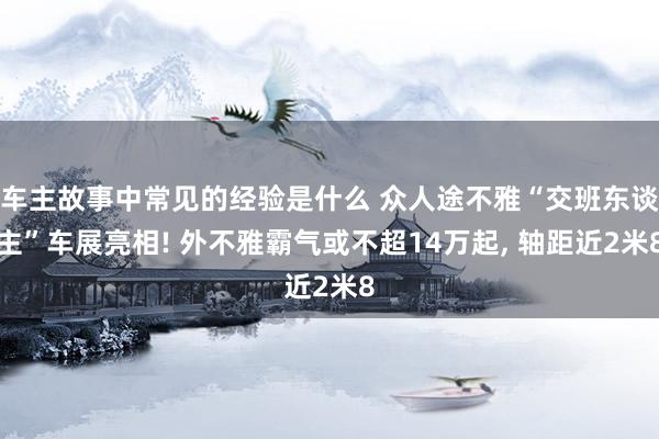 车主故事中常见的经验是什么 众人途不雅“交班东谈主”车展亮相! 外不雅霸气或不超14万起, 轴距近2米8