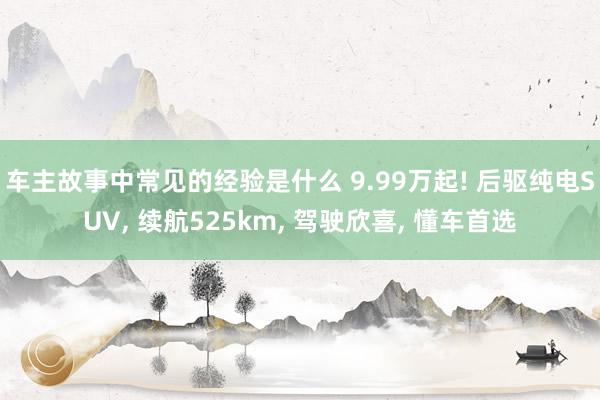 车主故事中常见的经验是什么 9.99万起! 后驱纯电SUV, 续航525km, 驾驶欣喜, 懂车首选