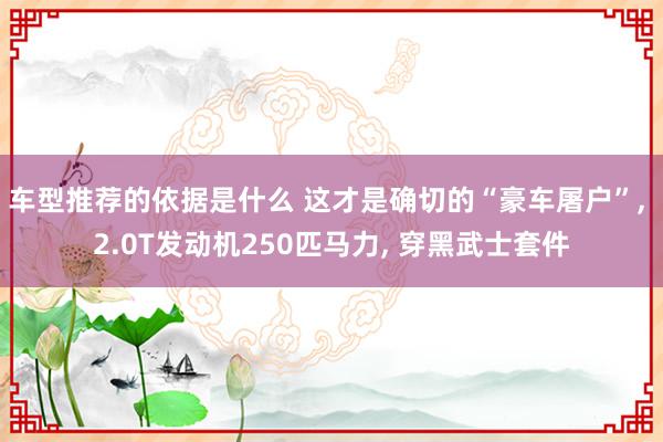 车型推荐的依据是什么 这才是确切的“豪车屠户”, 2.0T发动机250匹马力, 穿黑武士套件