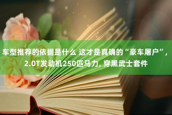 车型推荐的依据是什么 这才是真确的“豪车屠户”, 2.0T发动机250匹马力, 穿黑武士套件