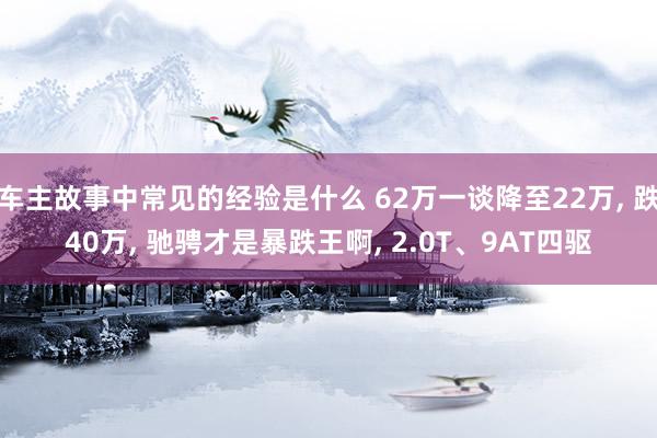 车主故事中常见的经验是什么 62万一谈降至22万, 跌40万, 驰骋才是暴跌王啊, 2.0T、9AT四驱