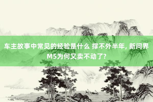 车主故事中常见的经验是什么 撑不外半年, 新问界M5为何又卖不动了?