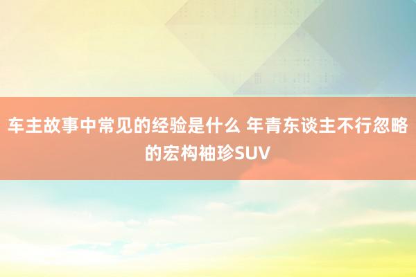 车主故事中常见的经验是什么 年青东谈主不行忽略的宏构袖珍SUV