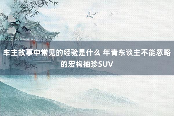 车主故事中常见的经验是什么 年青东谈主不能忽略的宏构袖珍SUV