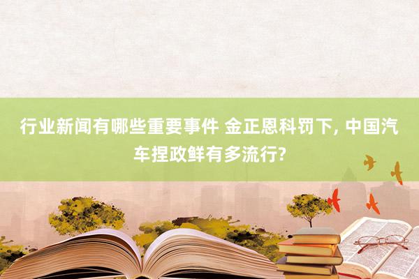 行业新闻有哪些重要事件 金正恩科罚下, 中国汽车捏政鲜有多流行?