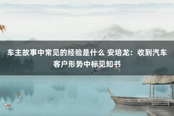 车主故事中常见的经验是什么 安培龙：收到汽车客户形势中标见知书