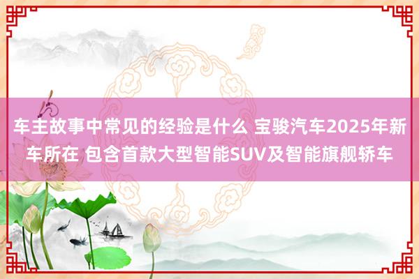 车主故事中常见的经验是什么 宝骏汽车2025年新车所在 包含首款大型智能SUV及智能旗舰轿车