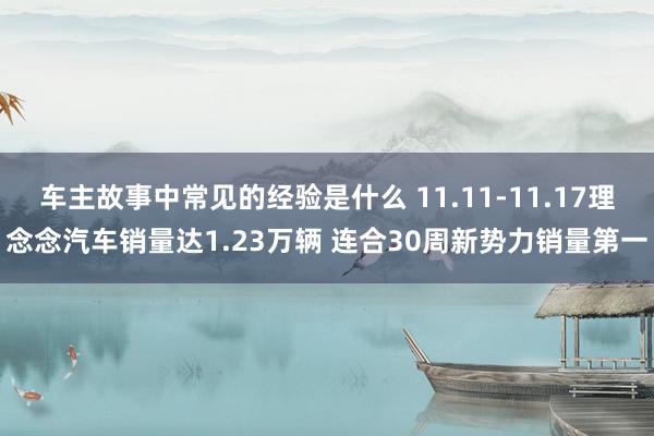 车主故事中常见的经验是什么 11.11-11.17理念念汽车销量达1.23万辆 连合30周新势力销量第一