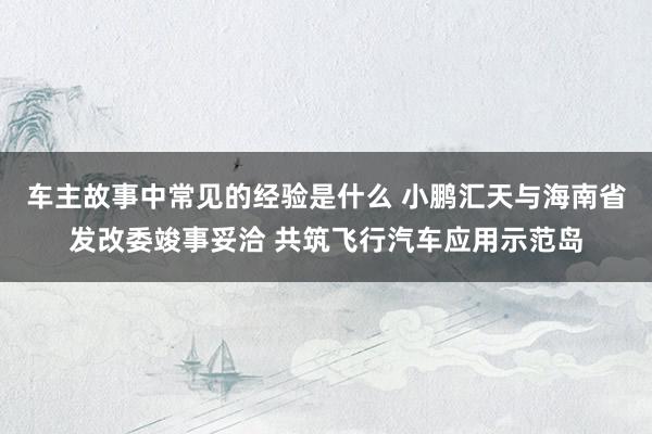 车主故事中常见的经验是什么 小鹏汇天与海南省发改委竣事妥洽 共筑飞行汽车应用示范岛