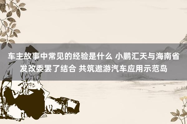 车主故事中常见的经验是什么 小鹏汇天与海南省发改委罢了结合 共筑遨游汽车应用示范岛