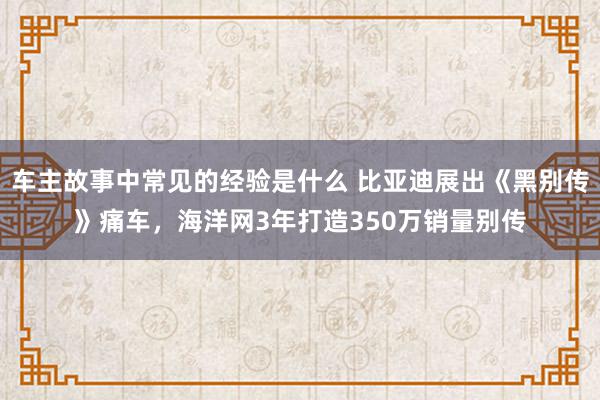 车主故事中常见的经验是什么 比亚迪展出《黑别传》痛车，海洋网3年打造350万销量别传