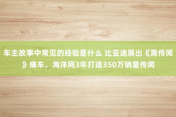 车主故事中常见的经验是什么 比亚迪展出《黑传闻》痛车，海洋网3年打造350万销量传闻