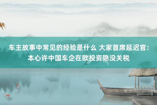 车主故事中常见的经验是什么 大家首席延迟官：本心许中国车企在欧投资隐没关税