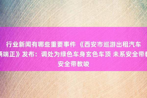 行业新闻有哪些重要事件 《西安市巡游出租汽车车辆端正》发布：调处为绿色车身玄色车顶 未系安全带教唆